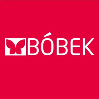 BOBEK_SCIENCE