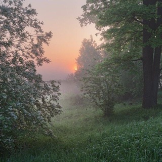 ₊ ˚ ГАРЯЧИЙ ДОЩ!