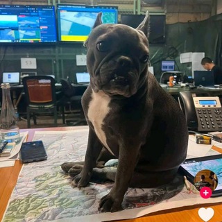 ВЛАДИСЛАВ УГОЛЬНЫЙ #ВЕРНИТЕ_ЛИЗУ_В_МЕТРО