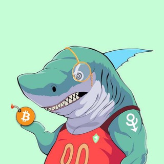SHARK GALAXY  CRYPTO