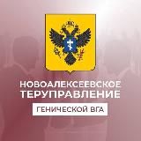 НОВОСТИ НОВОАЛЕКСЕЕВКИ И РАЙОНА