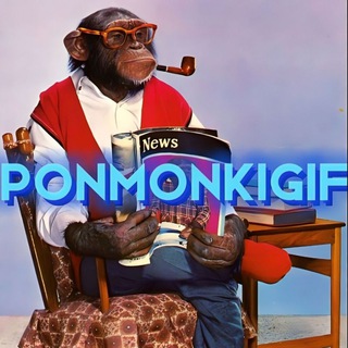 ГИФКИ С ОБЕЗЬЯНКАМИ