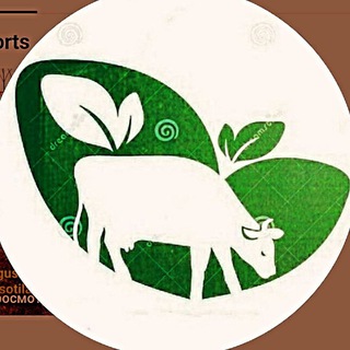 ЧОРВАЧИЛИК