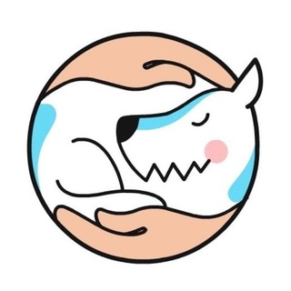 ШКОЛА PI-BO | ДРЕССИРОВКА И ВОСПИТАНИЕ СОБАК