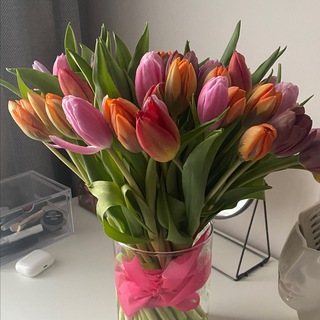 КОММЕНТАРИИ К КАНАЛУ ТАТЬЯНЫ РЕВА