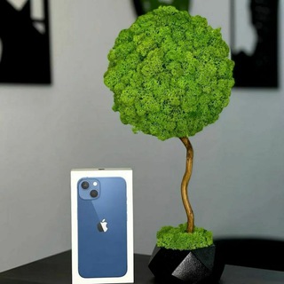 GADGETS RU