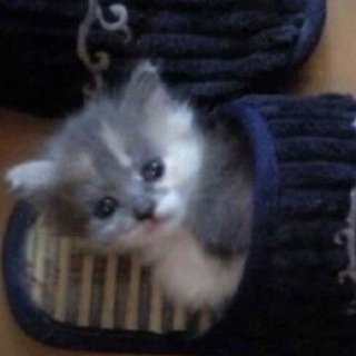 НЕЧЕГО ТЕРЯТЬ