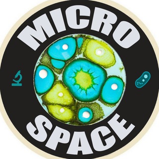 MICROSPACE