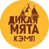 АРТ-КЭМП «ДИКАЯ МЯТА»