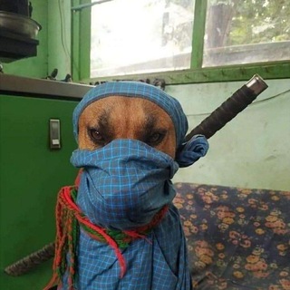 ДИКТОРЫ ЛЕВИТАНА. ДИКТОВКА • ПОСЛЕГОЛ