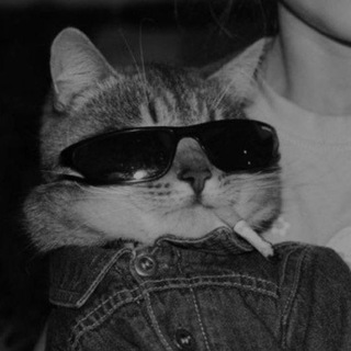 ᴛᴇᴄʜɴᴏHUB ᴇʟᴇᴄᴛƦᴏɴꞮᴄᴀᴘƦᴏɢƦᴇSSꞮᴠᴇ ᴍᴜSꞮᴄ› GIRLS