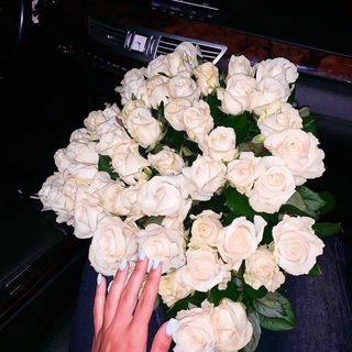 СТОРИС И ЦИТАТЫ НА КАЖДЫЙ ДЕНЬ