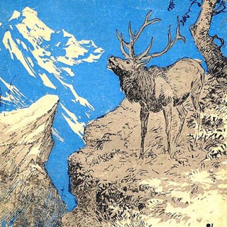 ОХОТА В РОССИИ