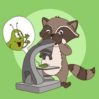 БИОЛОГИЯ ЕГЭ 100БАЛЛОВ