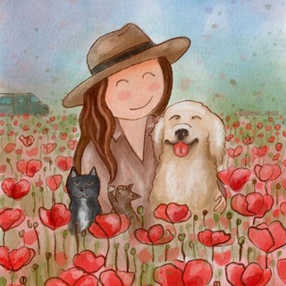 ВЭН ЕЛЕНОВИЧ, КАБЕРНЕ, ШИРАЗ