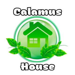 CALAMUS_HOUSE/КАШПОВАЗОНЫ