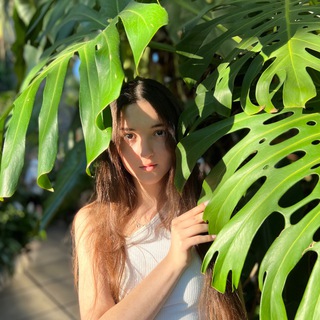 PLANTATHERAPY