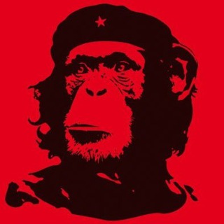 ДЕГРАДАТ НАЦИЯ