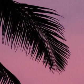 КРАСИЛЬНИКОВ LIVE - ФОТОБАНКИ И НЕ ТОЛЬКО