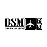 BSM LOGISTICS