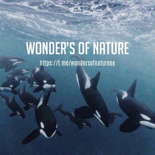 WONDERS OF NATURE