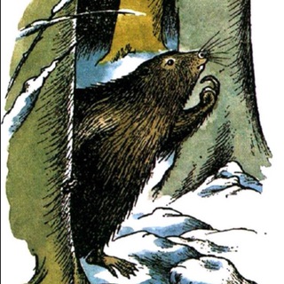 БОБЕР АБО БІБР, ТІЛЬКИ ДУЖЕ МАЛЕНЬКИЙ