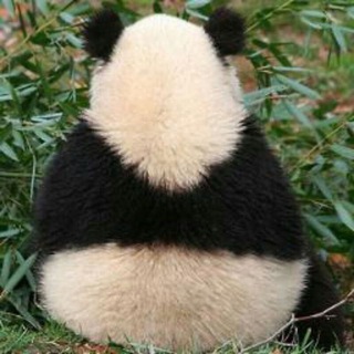 ГИФКИ ОТ ДРОЙДИ