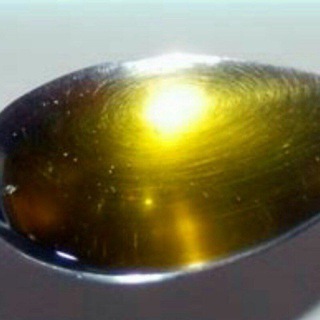 ВОЛОГОДСКОЕ МАСЛИЦЕ