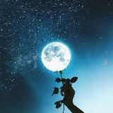 ЛИГА СЛИВОВ [1]