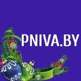 PNIVA.BY / МОГИЛЕВСКИЙ РАЙОН ПРИДНЕПРОВСКАЯ НИВА