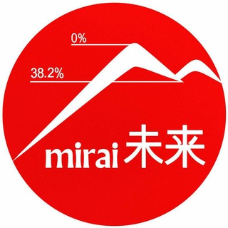 ЗАПИСКИ MIRAI |未来|