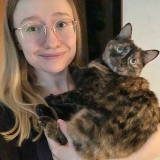 КОШАЧИЙ КОНТЕНТ