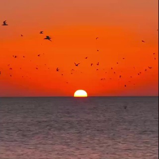 РАССВЕТЫ И ЗАКАТЫ  SUNRISE SUNSET