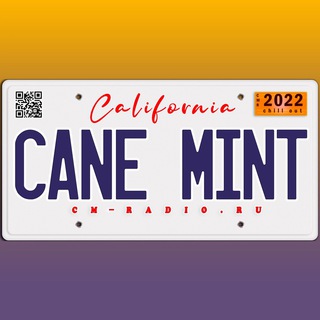  CANE MINT RADIO 