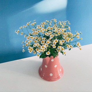 ФОТО ФОНЫ ДЛЯ СТОРИС