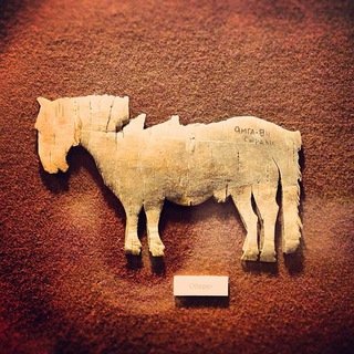 ПАЛЕОЭТНОГРАФИЯ