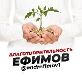 БЛАГОТВОРИТЕЛЬНОСТЬ | EFIMOV 