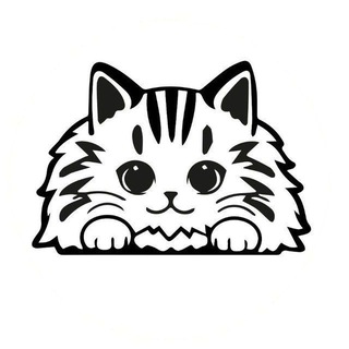 LMPETS - ВОЛШЕБНЫЙ ДОМИК ДЛЯ ЖИВОТНЫХ  ЗДЕСЬ НАХОДЯТ ДРУГ ДРУГА 