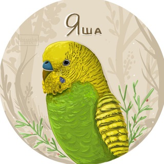 ВОЛНИСТЫЕ ПОПУГАЙЧИКИ