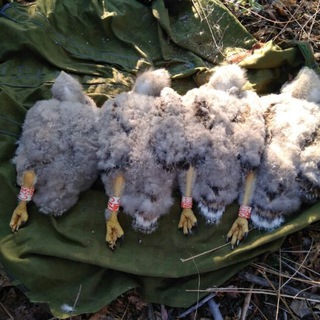 ЭКСПЕДИЦИОННЫЕ КАРТИНКИ