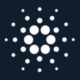 CARDANO PORTUGUÊS OFICIAL       