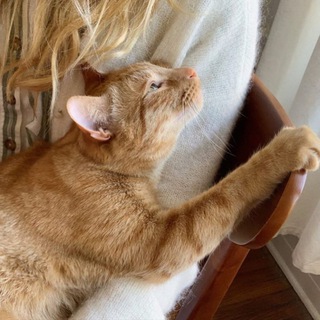 МАРЦ І ПАННА