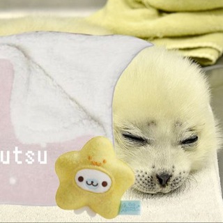 МУСЕЙОН • СИРИУС