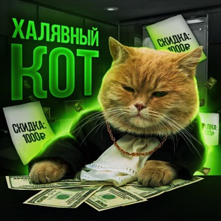 ХАЛЯВНЫЙ КОТ