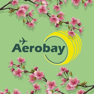 АВИААГЕНТСТВО AEROBAY