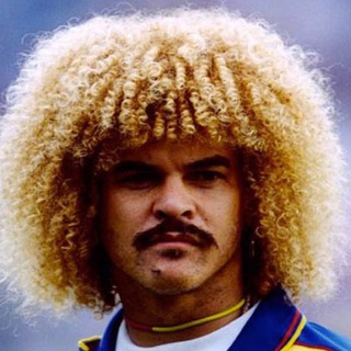 ЗАПИСКИ ВОЛОСИСТА