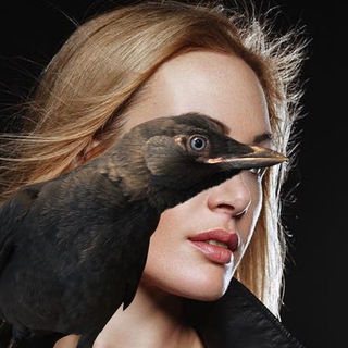 ПРО ПТИЧЕК И НЕ ТОЛЬКО