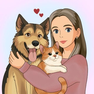 ANIMAL CARE: ПОМОЩЬ БЕЗДОМНЫМ ЖИВОТНЫМ