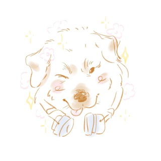 SAFINIST ゚+ .()‧ 。