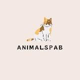 ANIMALSPAB - БЛОГ О ЖИВОТНЫХ